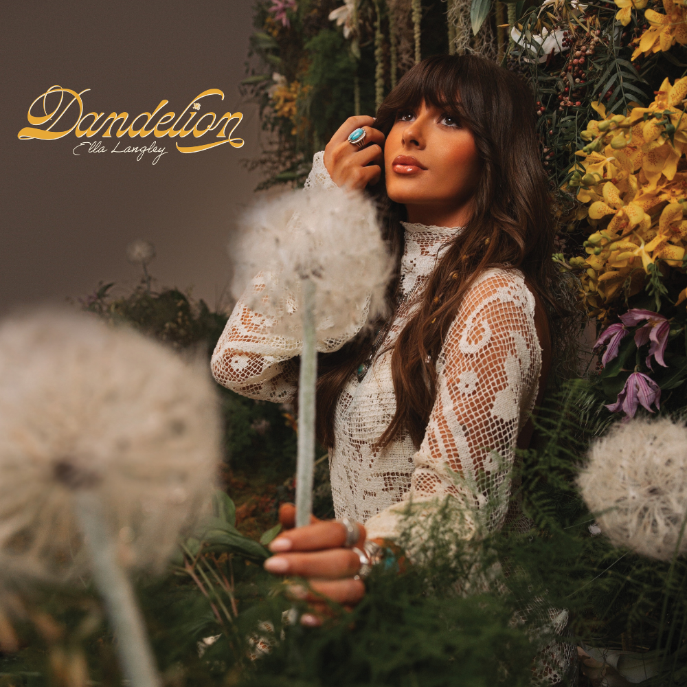 蒲公英 Dandelion