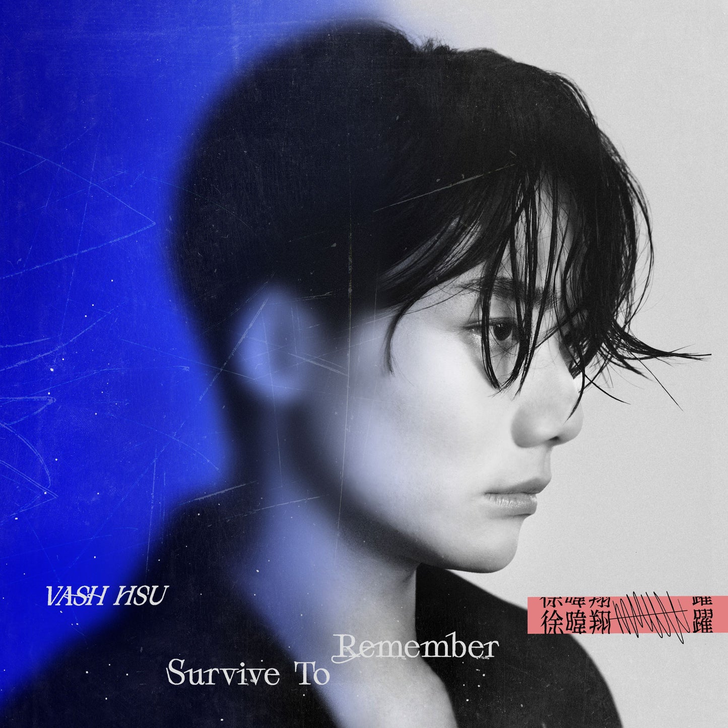 躍 Survive to Remember