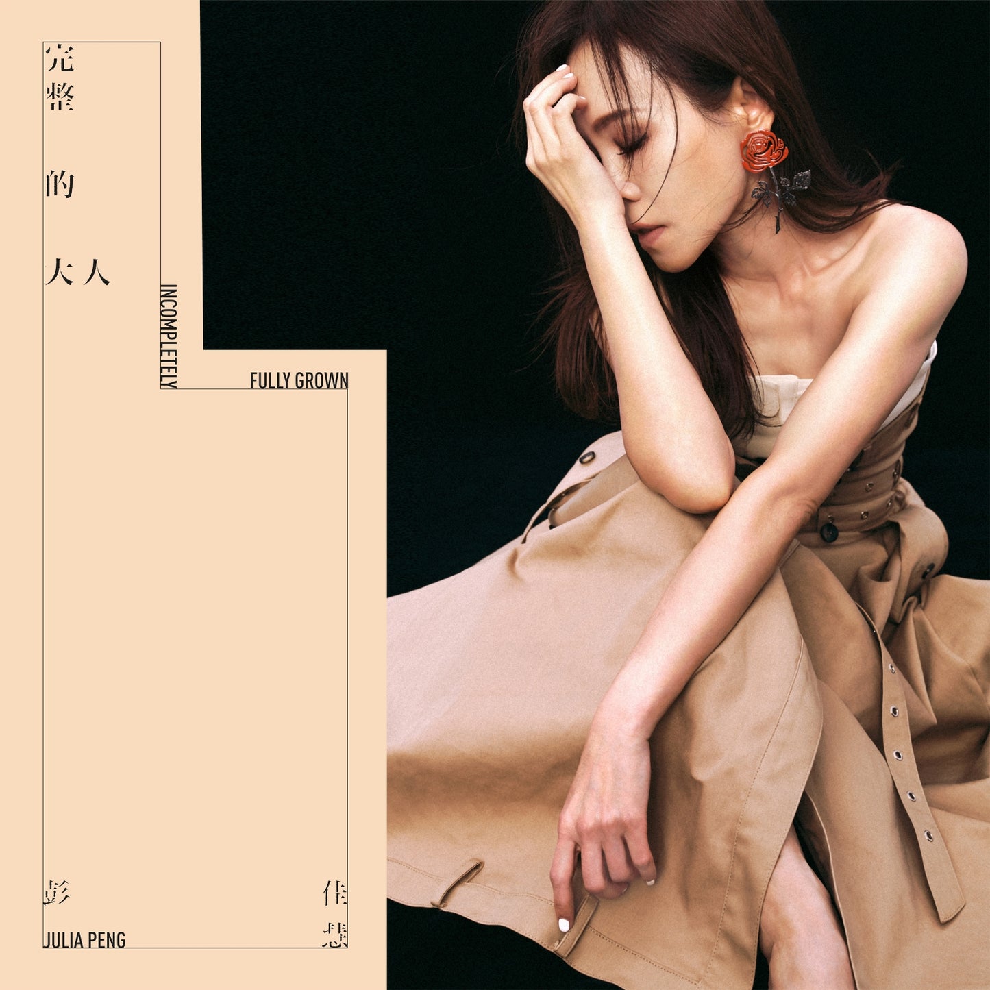 完整的大人 Incompletely Fully Grown