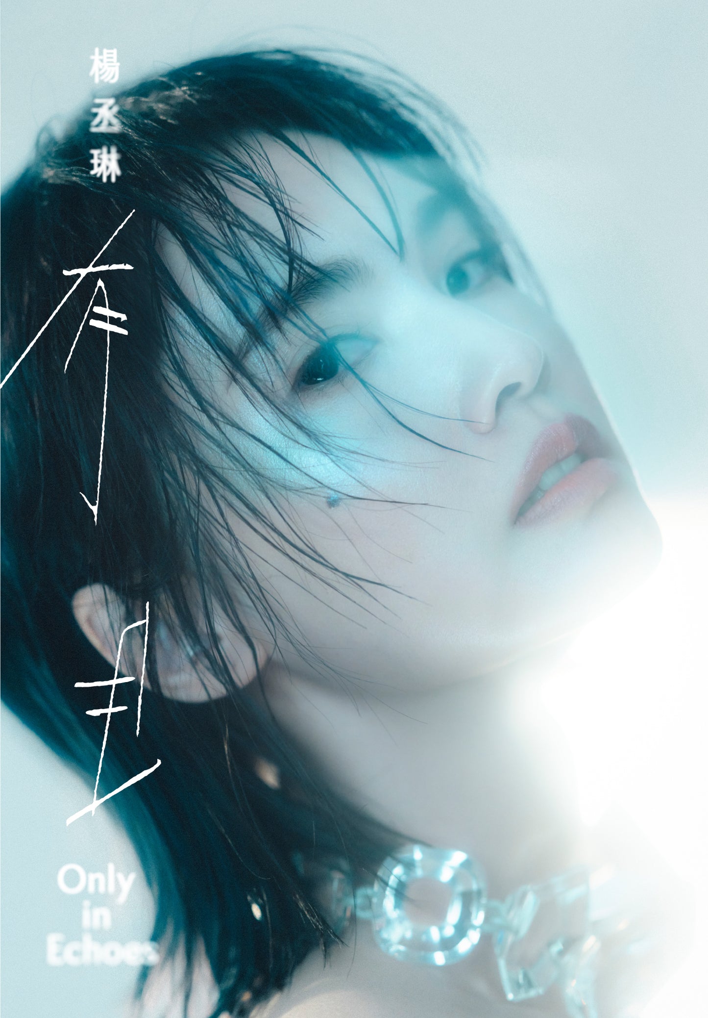 有且 Only in Echoes