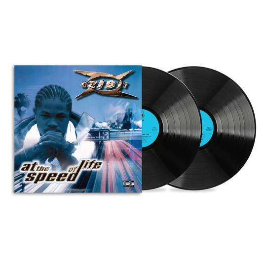 生命的速度 At the Speed of Life (RSD 2026)(2LP)