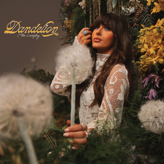 蒲公英 Dandelion